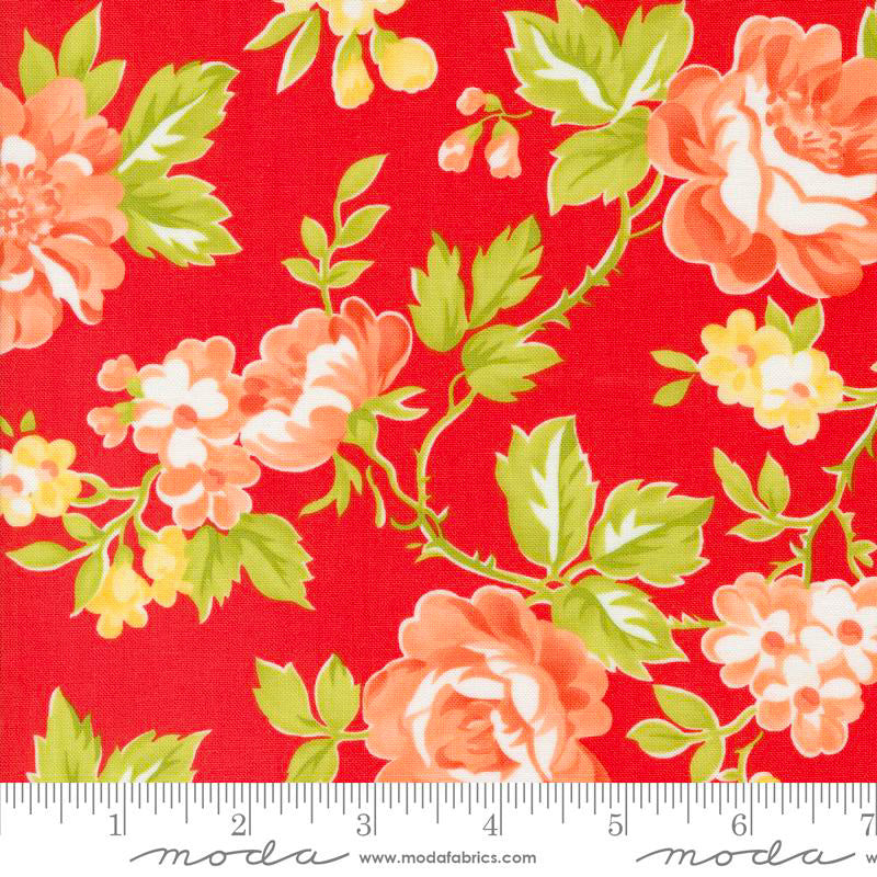 108" Jelly & Jam Wide Quilt Back Strawberry