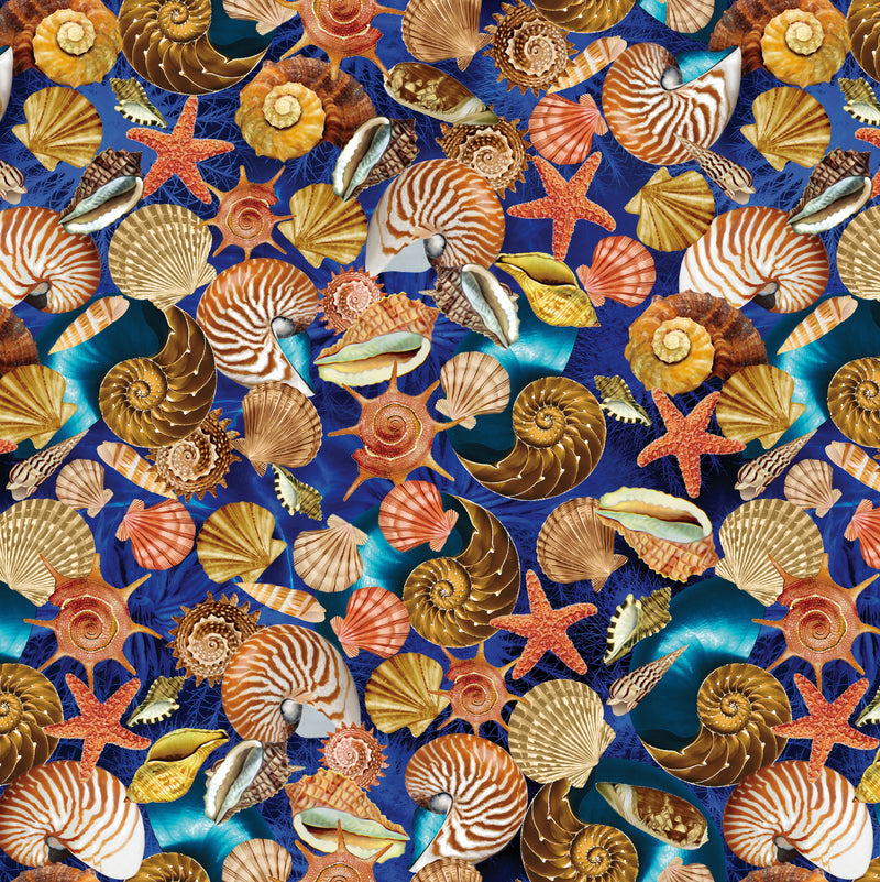 108" Oceana Shells Wide Quilt Back Multi