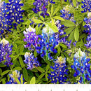 Sample Swatch of 108" Bluebonnet Flowers Wide Quilt Back Blue