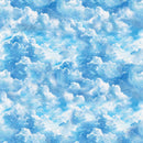 Wide quilt back fabric with blue sky and clouds