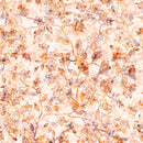 Bargain Back Bundle of Neutral Wide Quilt Backs