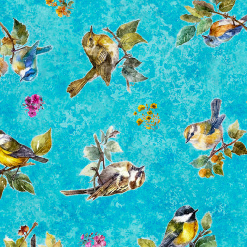 108" Bird Song Bird Toss Wide Quilt Back Aqua