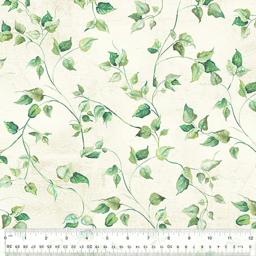 108" Butterfly Collector Ivy Wide Quilt Back Ivory