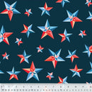 Sample Swatch of 108" Pinwheel Stars Wide Quilt Back Patriotic