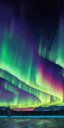 Wide quilt backing fabric with multi colored  image of a lake, mountains and northern lights running the full width of the fabric.