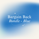 Bargain Back Bundle of Blue Wide Quilt Backs