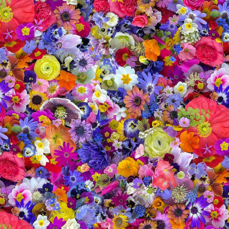 Wide quilt backing fabric with a multi colored packed floral digital image print.