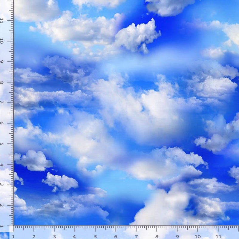 108" Clouds in a Bright Sky Wide Quilt Back Blue